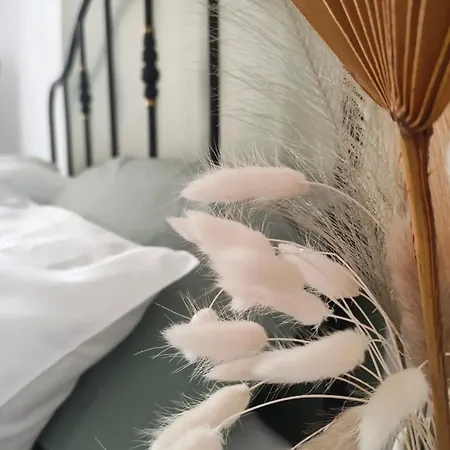 Nine And Three Quarters بيت ضيافة