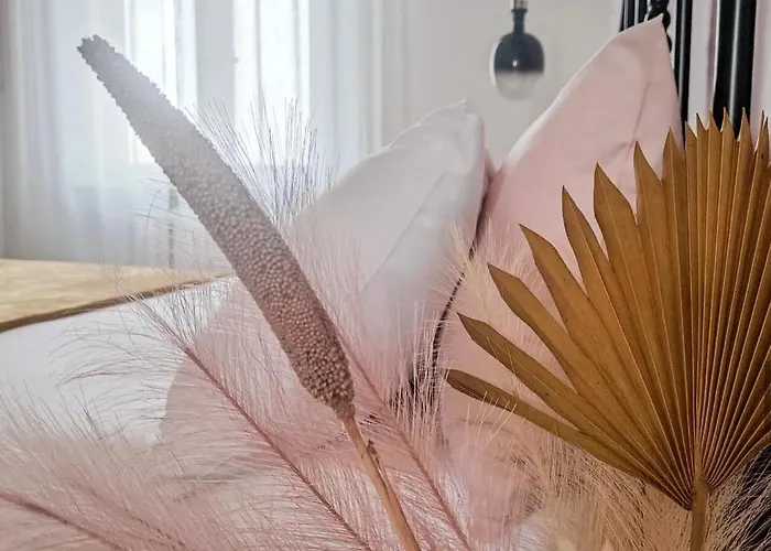 Nine And Three Quarters 볼로냐